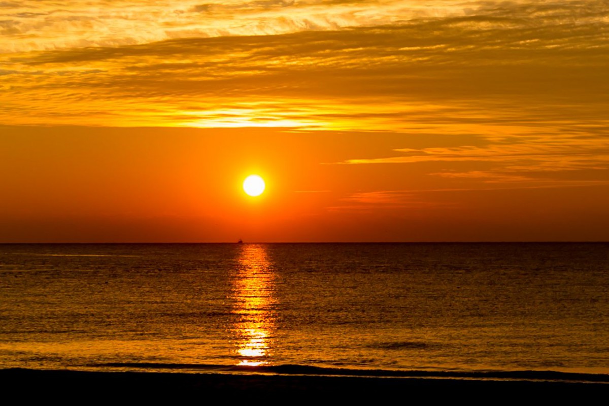 Texel